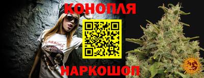 индика Ачхой-Мартан