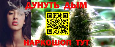 индика Ачхой-Мартан