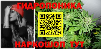 индика Ачхой-Мартан