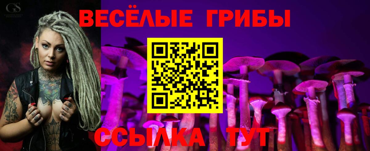Галлюциногенные грибы GOLDEN TEACHER Назрань