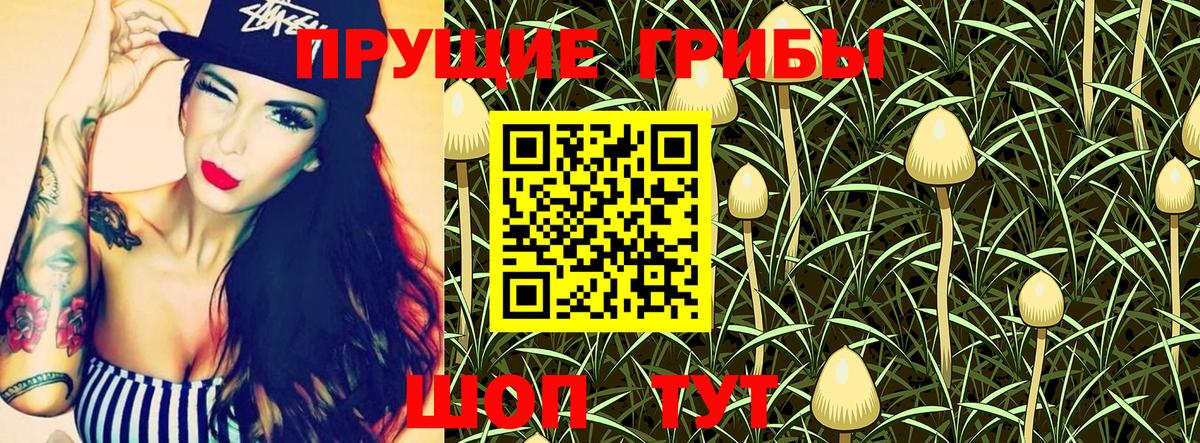 Назрань  Псилоцибиновые грибы ЛСД  Вход с VPN  Галлюциногенные грибы Magic Shrooms 